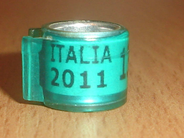 Italia 2011