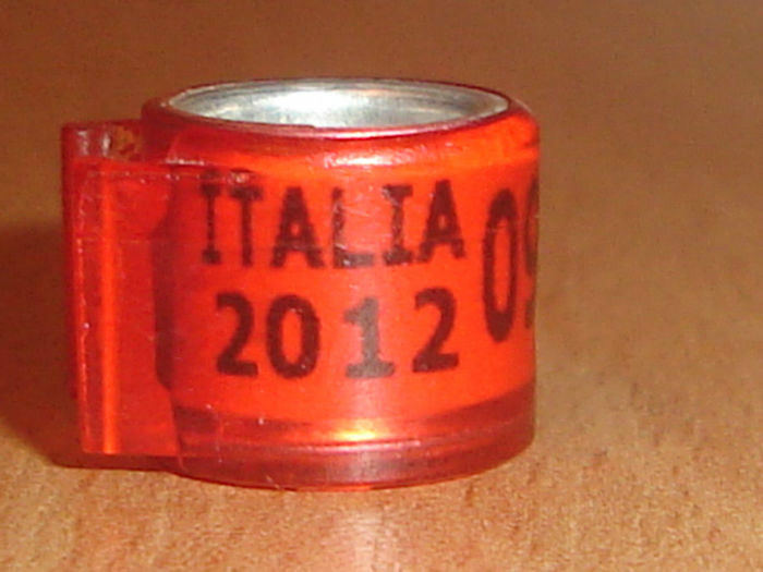 Italia 2012