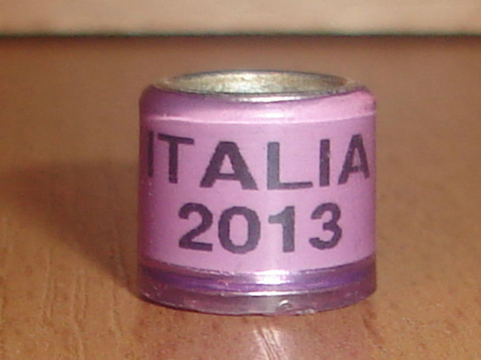 Italia 2013