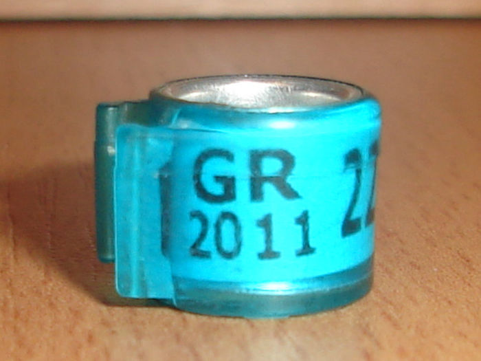 GR 2011 - GRECIA
