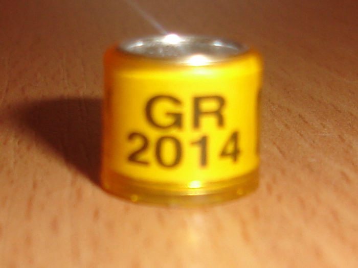 GR 2014 - GRECIA