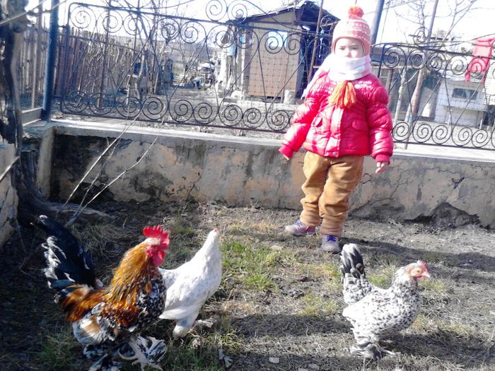 IMG_20140114_122934 - mii de flori