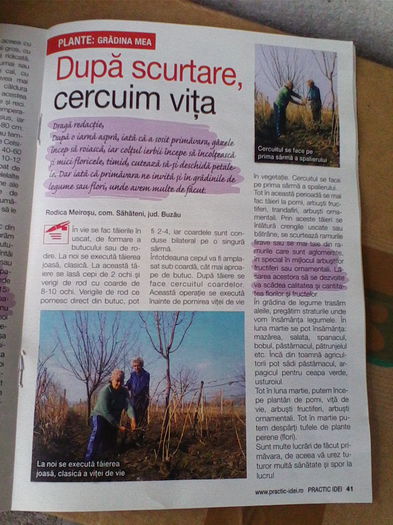 articol scris-revista -martie2014 - Ocupatii in timpul liber