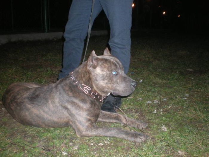 Athos son of Klea la 13 luni