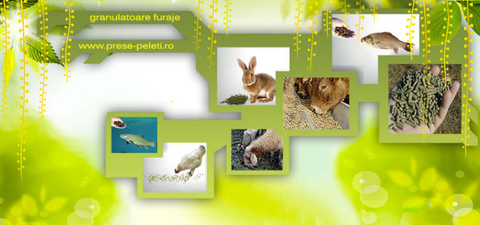 granulatoare; www.prese-peleti.ro

