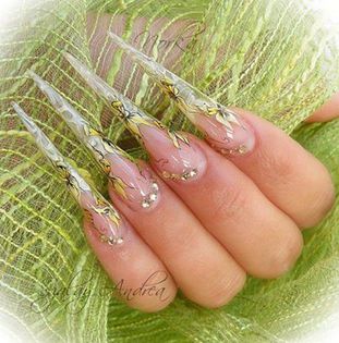 64685_152338258252584_822904291_n - DE GUSTIBUS  ET COLORIBUS NON DISPUTANDUM