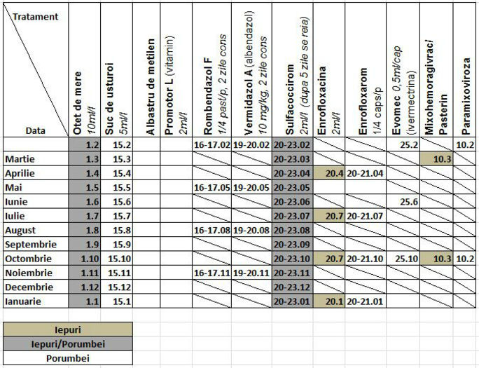 plan tratament - 04_Gaini