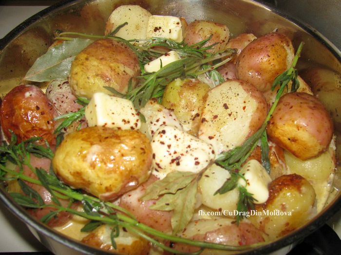 1116026_173528172832487_1129869102_o