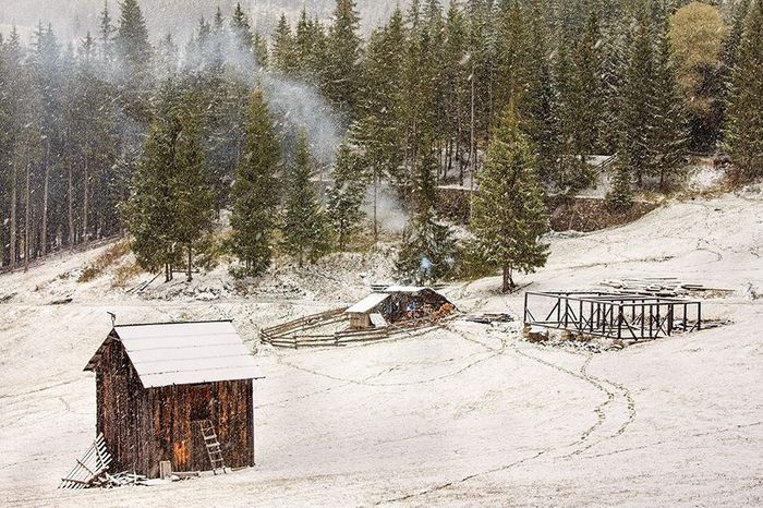 1376466_10151898003383739_420212686_n