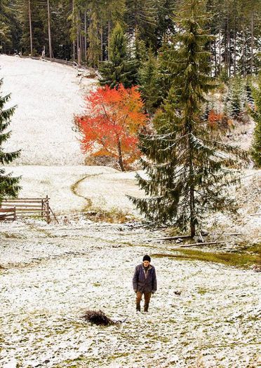 1377323_10151898065853739_1978819183_n