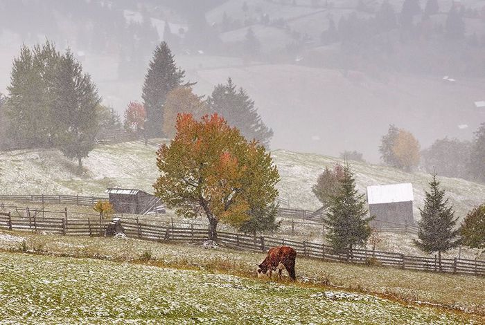 1377593_10151900217378739_1304668149_n