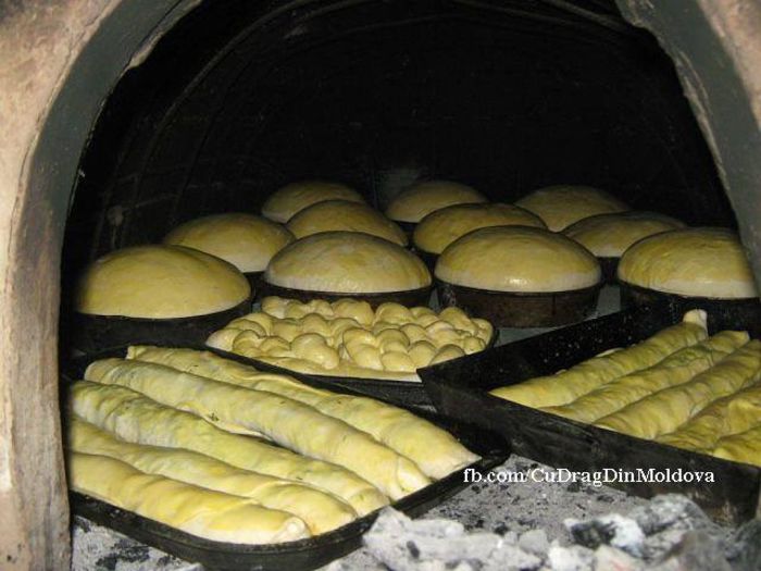 1426398_203526499832654_245157453_n