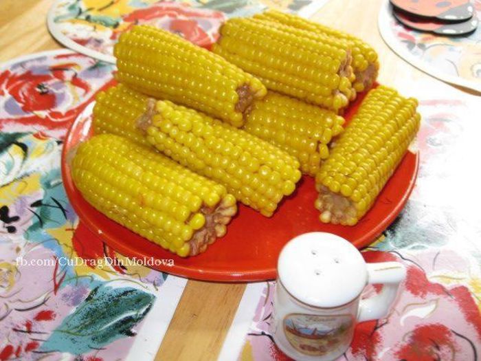 1459934_205636192955018_480946086_n