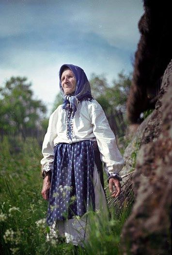 1509322_244957472356223_259949331_n