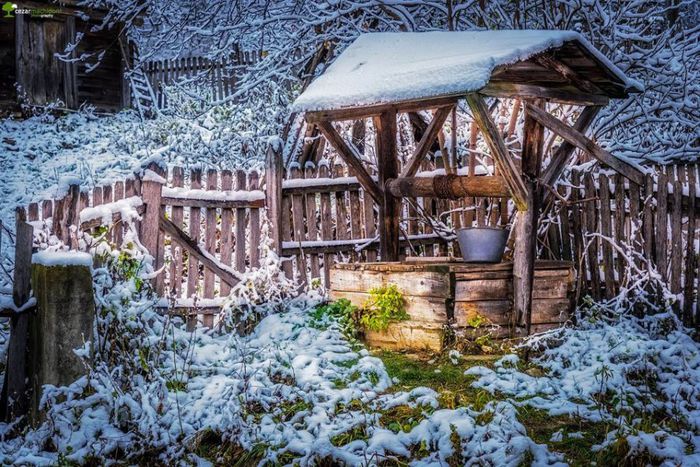 1524603_228864480632189_1841527249_n