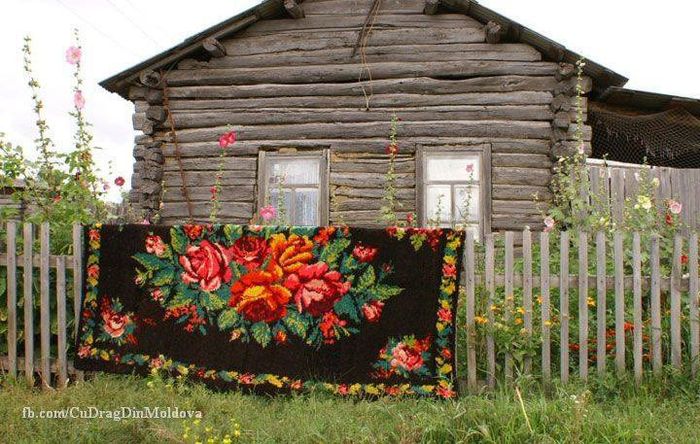 1536726_225256527659651_107717990_n