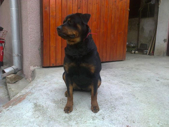 HERRA