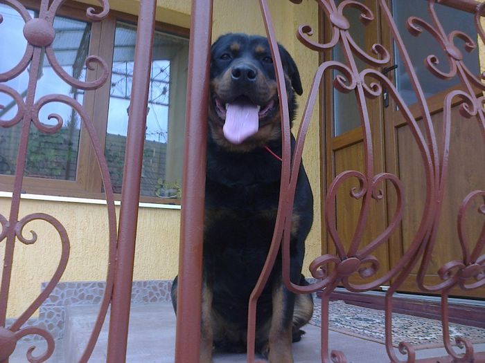 HERRA