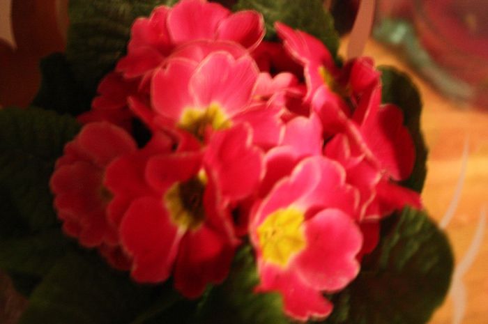 IMG_1230 - Martie 2014