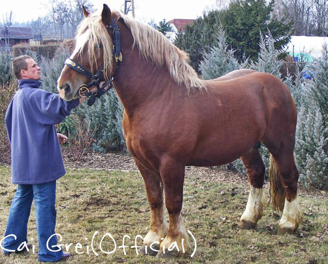 5123 - Zalalövő-8-Koppány