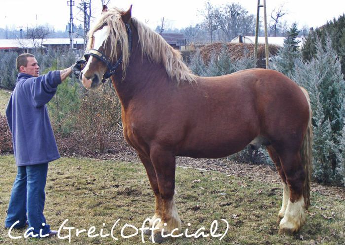 5123 - Zalalövő-8-Koppány