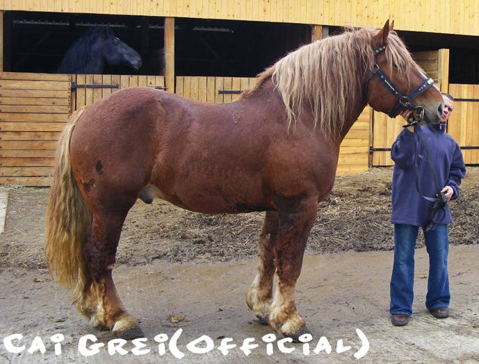 Kaposvár-216-Ukrajna