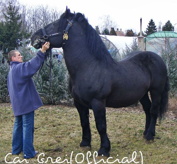 3086 - Babarc-178-Csillag