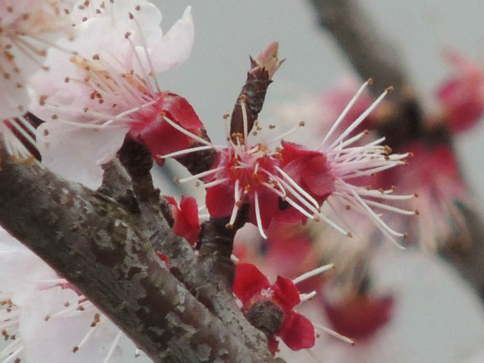 RSCN6785