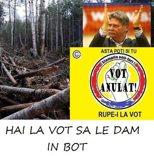 1922020_476744362448441_2130021368_n - DE GUSTIBUS  ET COLORIBUS NON DISPUTANDUM