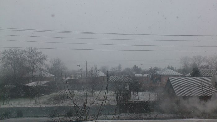 primavara capricioasa - PRIMAVARA 2014