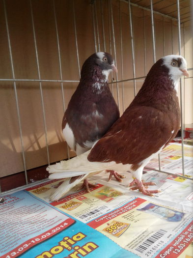 IMG_20140309_093547821