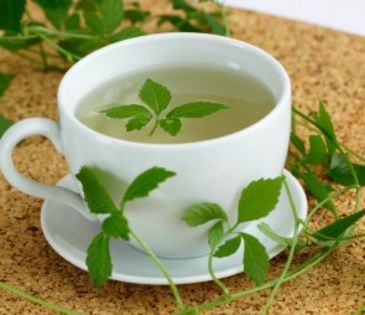 Gynostemma pentaphyllum - 2-de vanzare 2019-2020-SEMINTE IERBURI FOLOSITOARE SI PLANTE MEDICINALE RARE