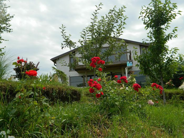 DSCN6474 - flori