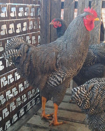 IMG_20140216_130020-1