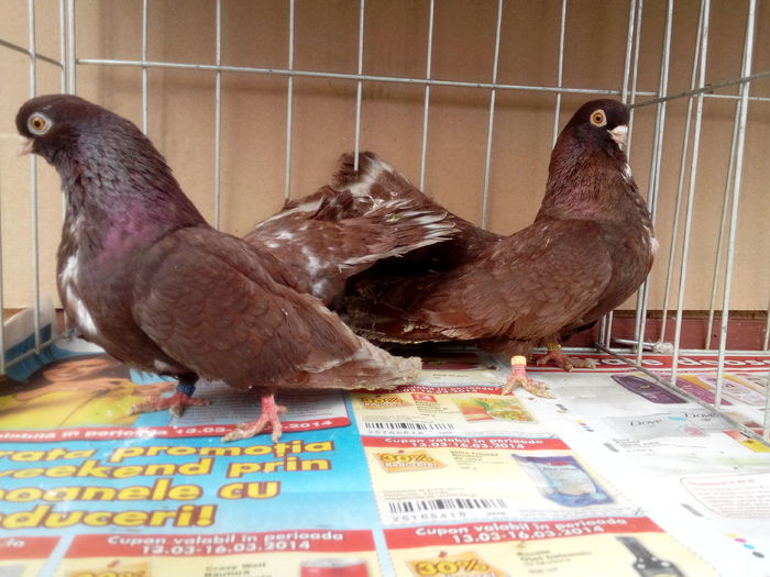 IMG_20140309_142031680