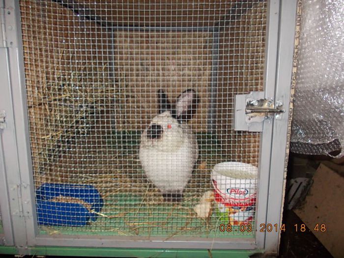 Picture 213; el este dl BUBU un bun prieten de-al meu de la dl Cris 1981
