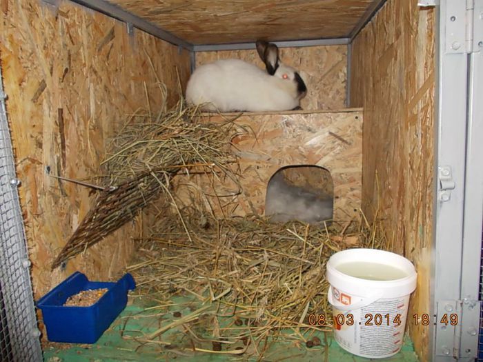 Picture 216; tot ea!o buna mama la prima fatare!
