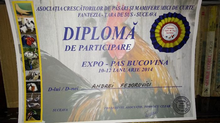 20140309_154849 - f diploma si trofeu