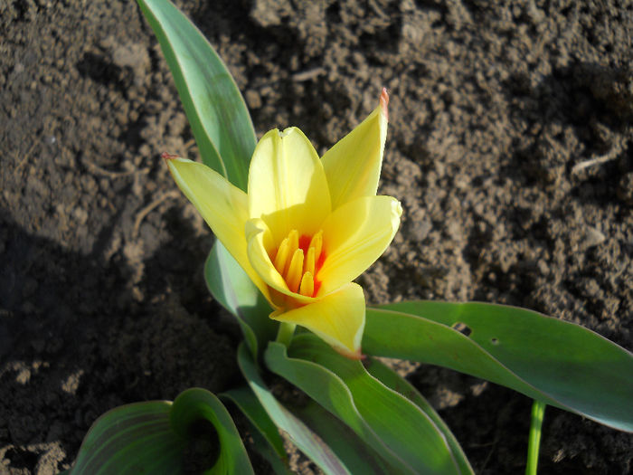 DSCN0607_010
