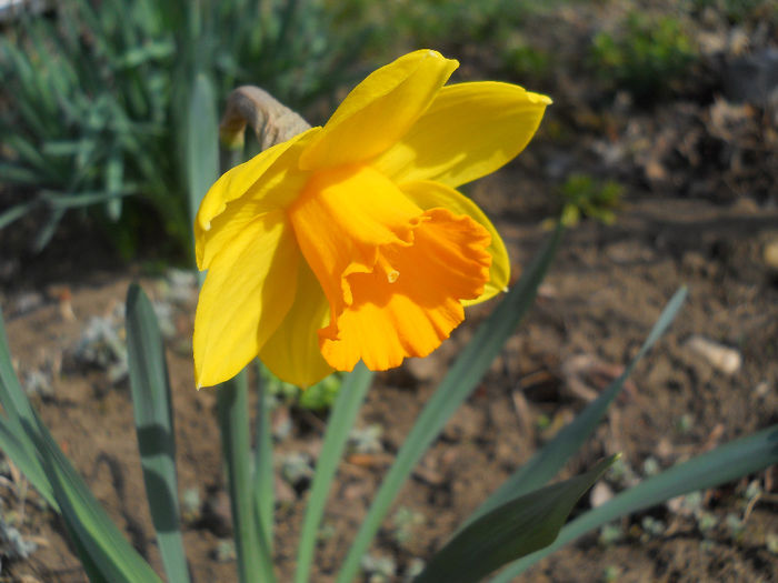 DSCN0610_013