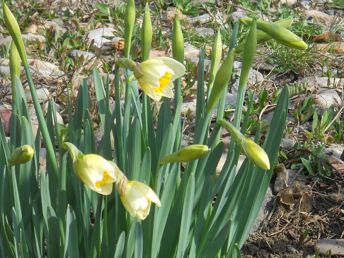 DSCN0611_014