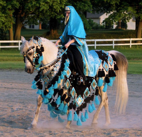 turquoise arabian costume