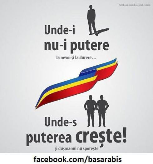 1546361_636068056453880_908335143_n - DE GUSTIBUS  ET COLORIBUS NON DISPUTANDUM