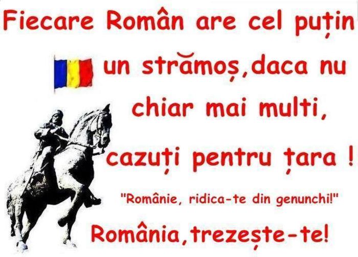 1966894_222526431287861_891280680_n - DE GUSTIBUS  ET COLORIBUS NON DISPUTANDUM