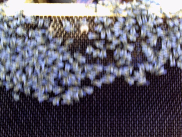 luterie 118 - 2014 apicole
