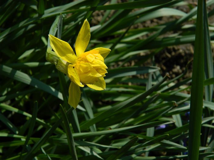 DSCN3650