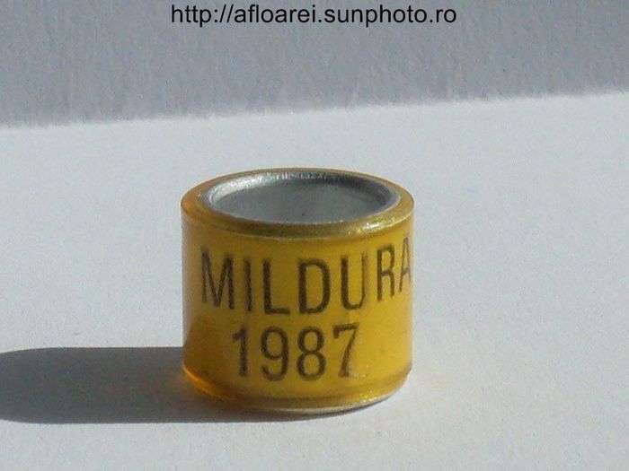 mildura 1987 - AUSTRALIA