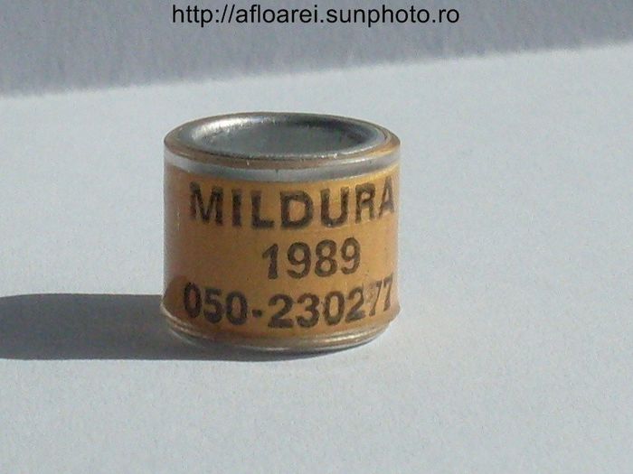 mildura 1989 - AUSTRALIA