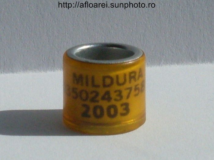 mildura 2003 - AUSTRALIA