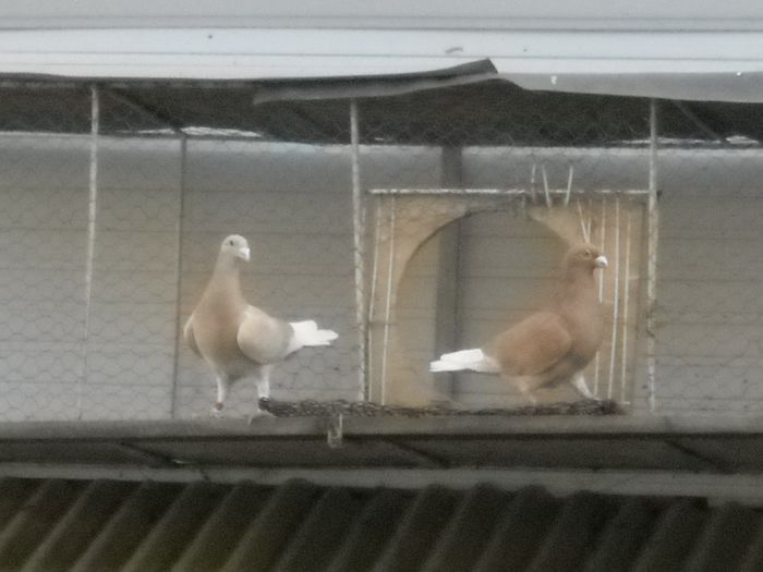 DUPA ATITA NOR SI PLOAIE IAR SARATA SOARELE